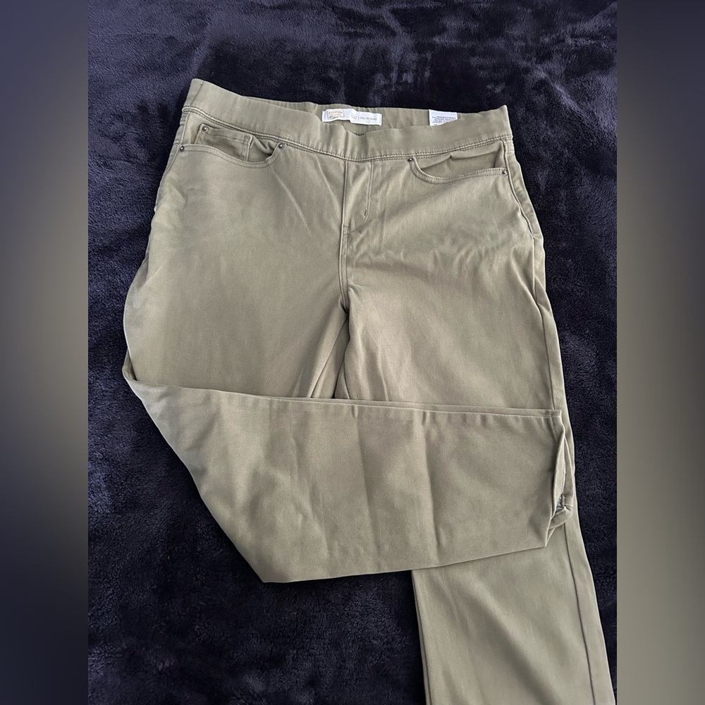 Levi Strauss Totally Shaping Elastic Waist Skinny Khakis Size 16S